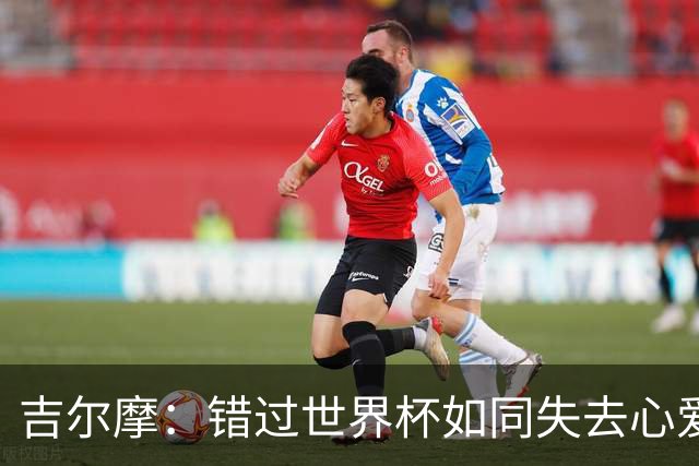 吉尔摩：错过世界杯如同失去心爱的玩具，但我又回来了！