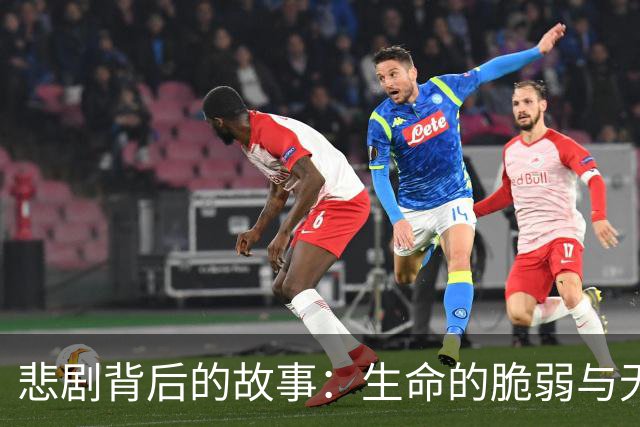 悲剧背后的故事：生命的脆弱与无助